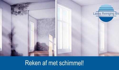 Schimmel in woonkamer