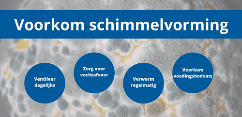 Voorkomen van schimmelvorming