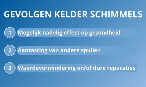 Vocht en schimmel in kelder